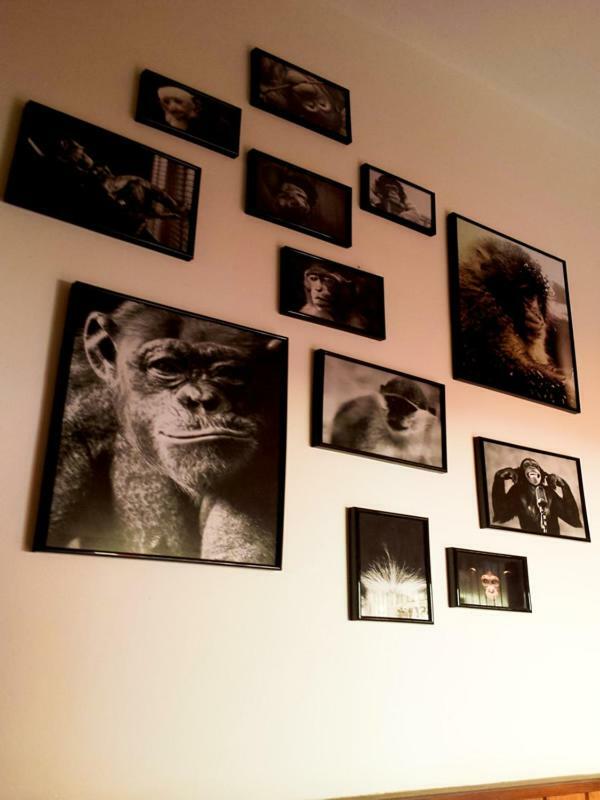 The Mellow Monkey Hostel Zadar Exteriör bild